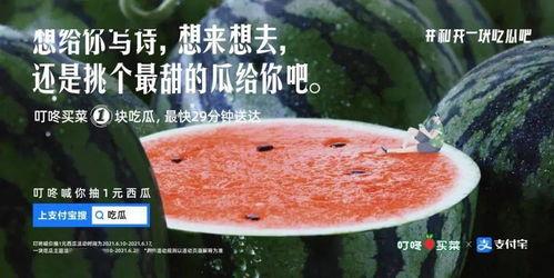 娱乐吃瓜文案啊